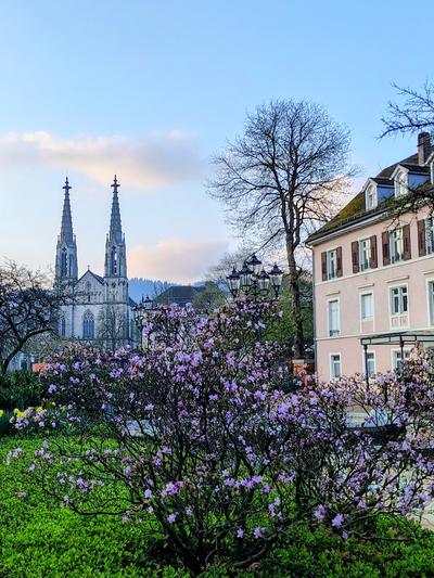 Twin spires above the rhododendrons, and the first daffodils under them