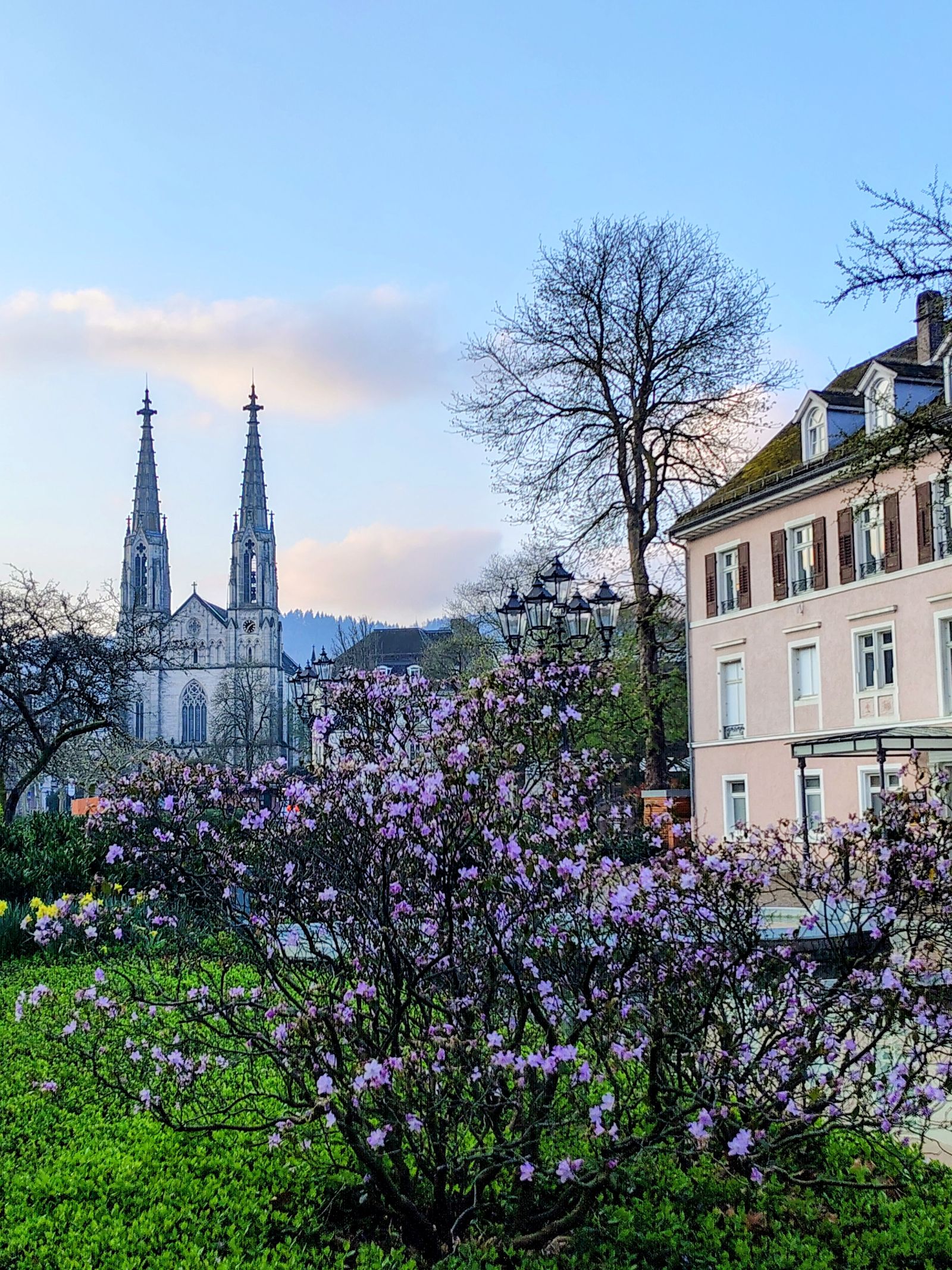 Twin spires above the rhododendrons, and the first daffodils under them