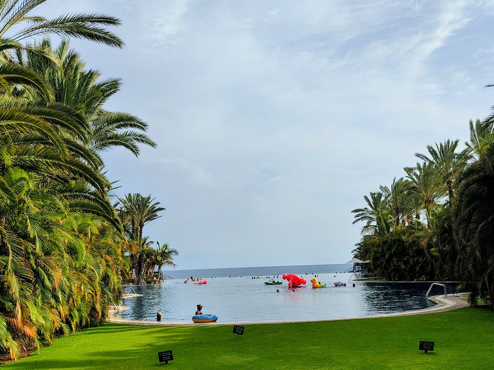 Palms, a Lopesan pool and the Atlantic beyond the lawn
