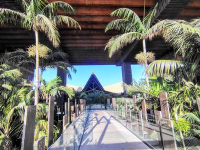 The causeway into Lopesan Baobab, palms either side and the thatched atrium roof ahead