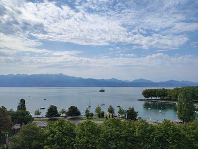 The lake from the Beau-Rivage park, with the pines doing the framing