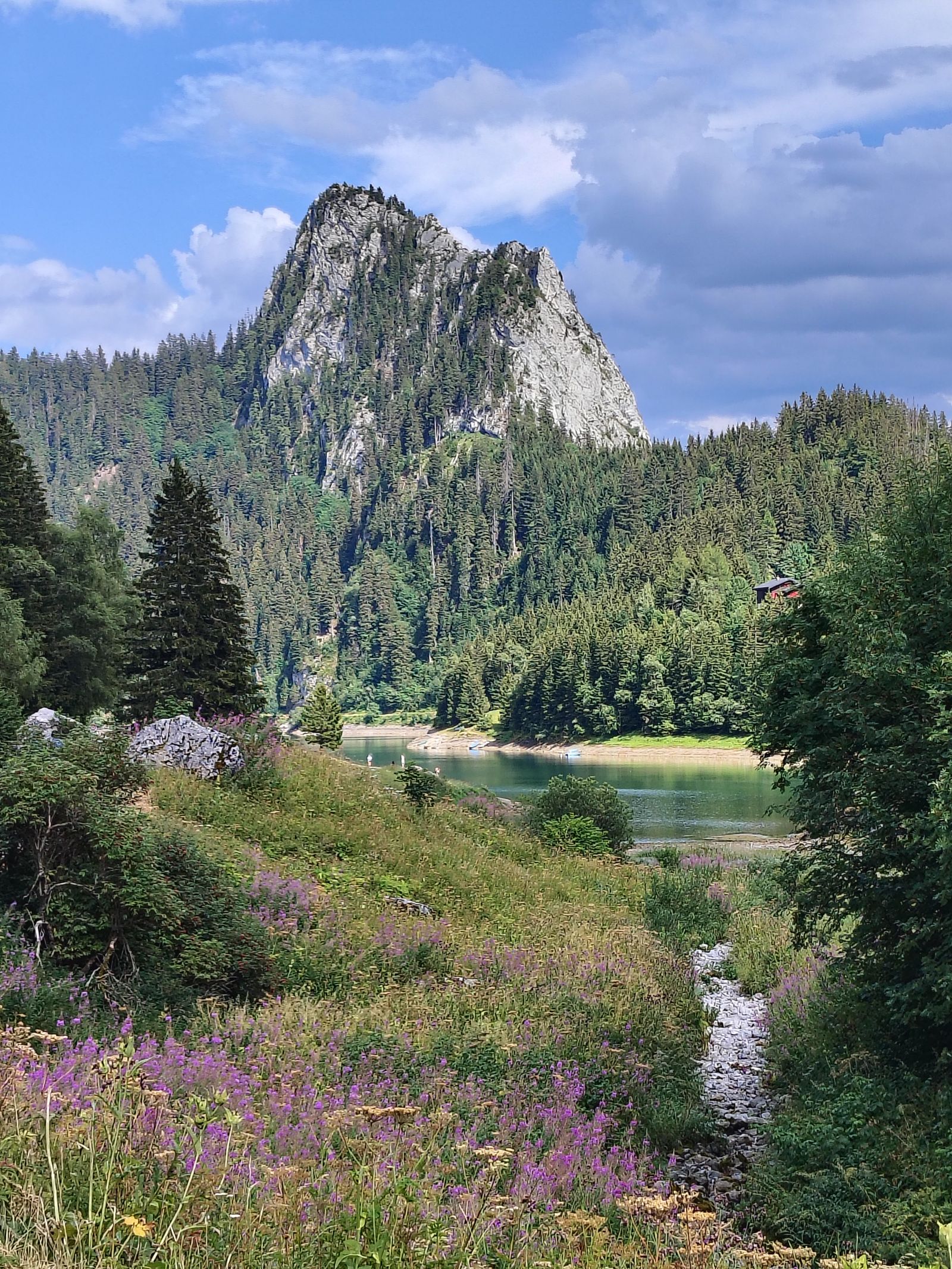 Wildflowers and a limestone peak on the way back down