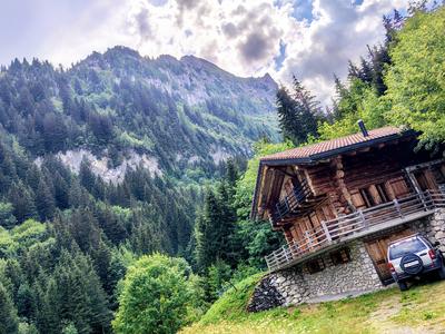 A chalet in the pines, Fribourg pre-Alps