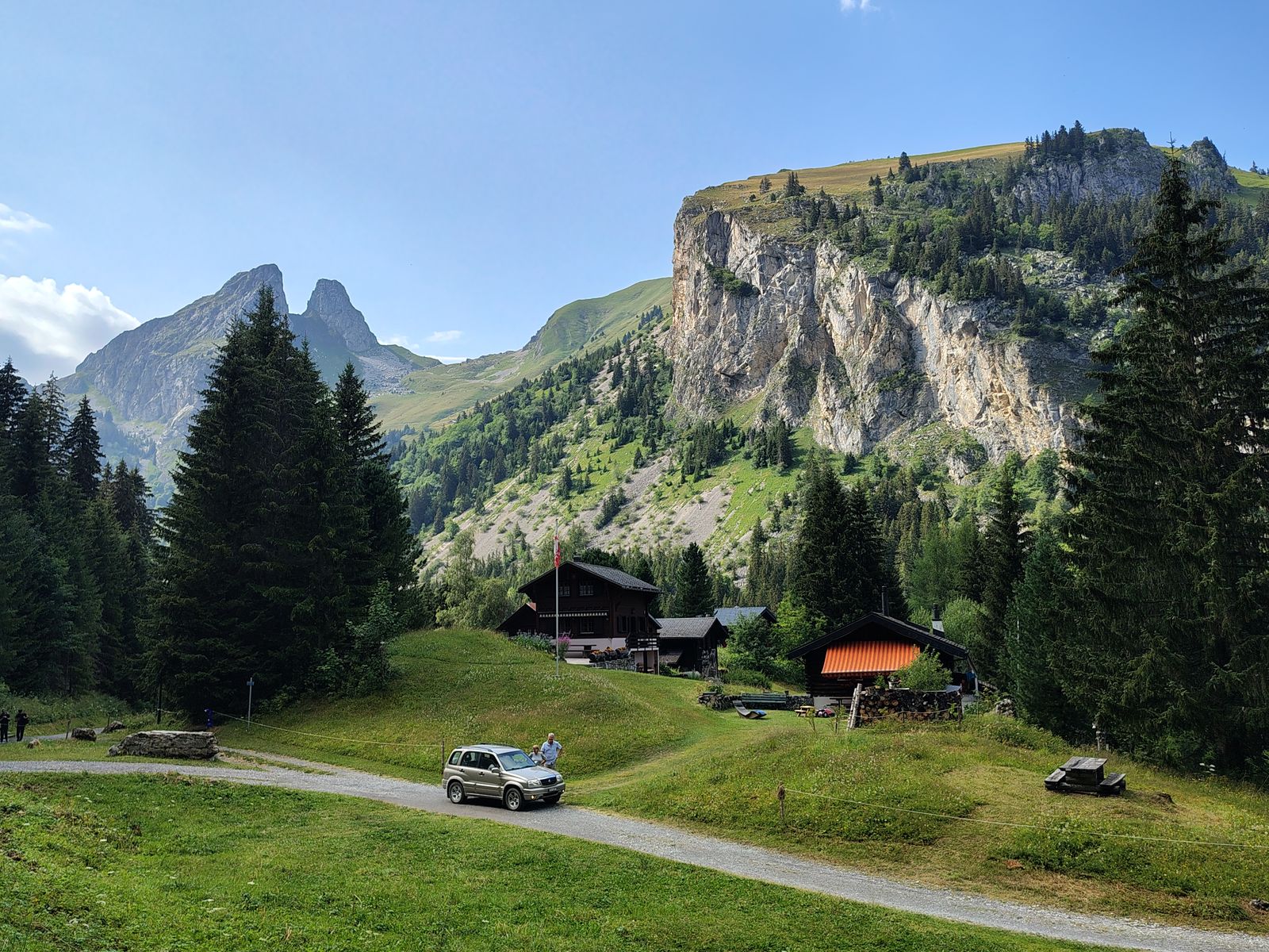 Alpine meadow and a handful of chalets under the ridge