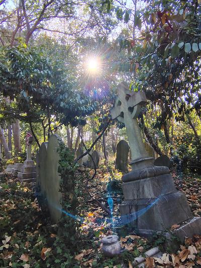 Morning sun through the trees over the Victorian graves of Highgate Cemetery <strong>Our own photograph of London, not of the hotel.</strong>