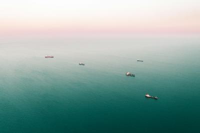 Birds over the sea on a bright afternoon — the Cyprus coast