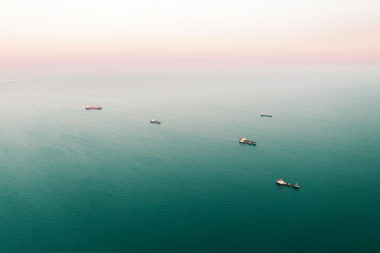 Birds over the sea on a bright afternoon — the Cyprus coast