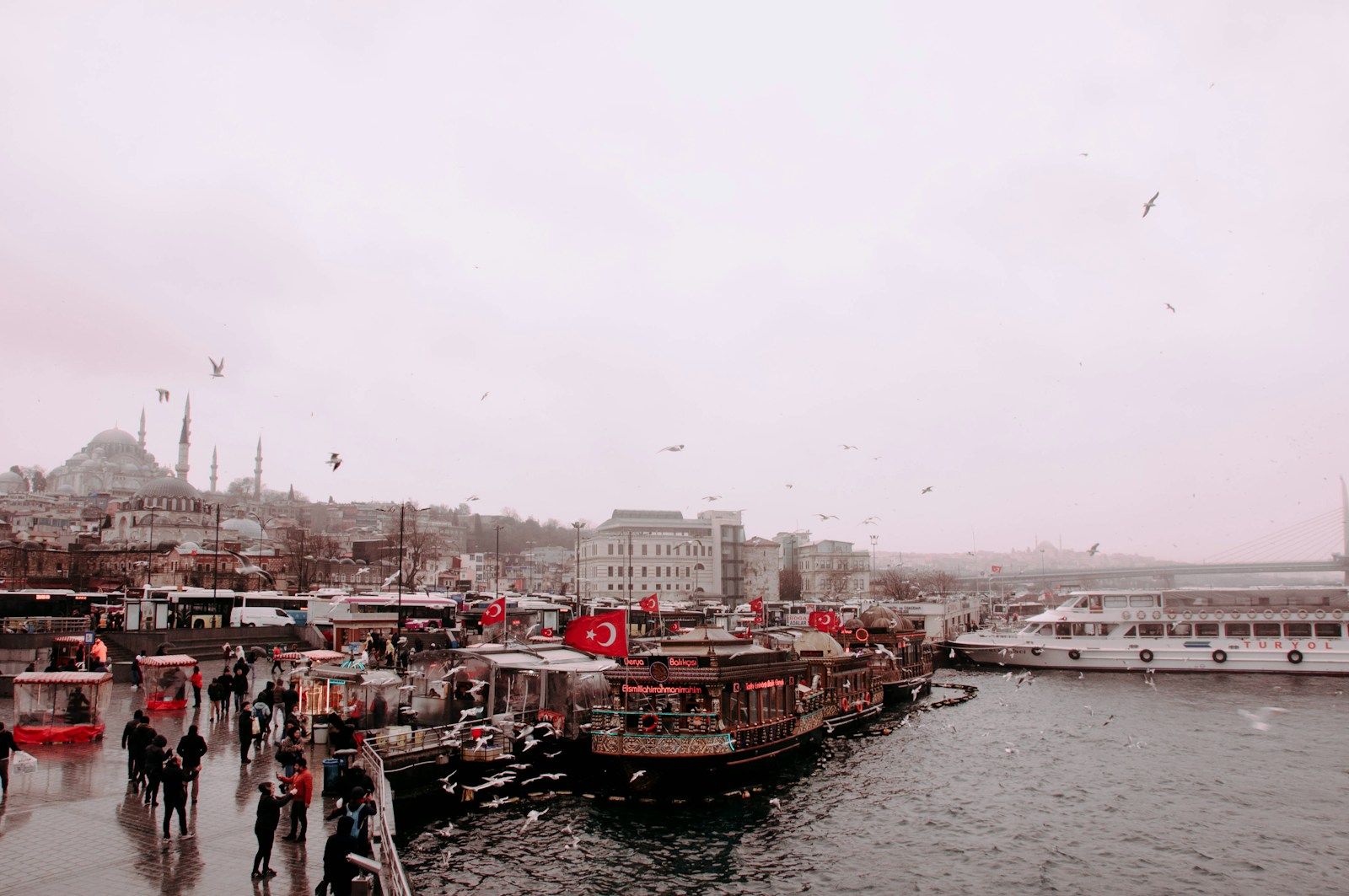 The Eminonu waterfront, fish boats and the New Mosque behind. Photo: Samet Kurtkus on Unsplash